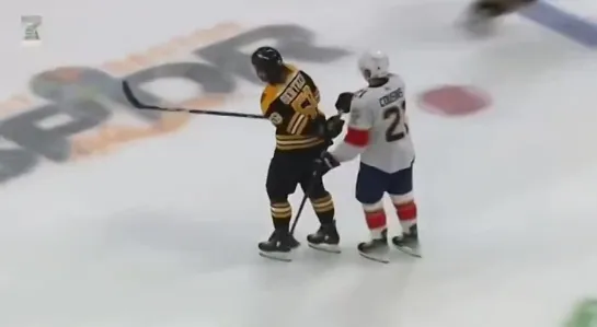 Tyler Bertuzzi stole a stick from a Panthers player