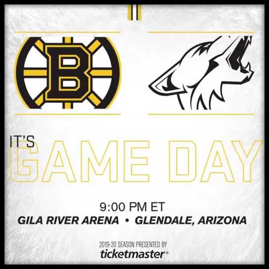 Bruins-Coyotes