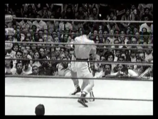 Roberto Duran vs Hiroshi Kobayashi