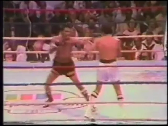 Roberto Duran vs Edwin Viruet II (WBA World Lightweight Title)