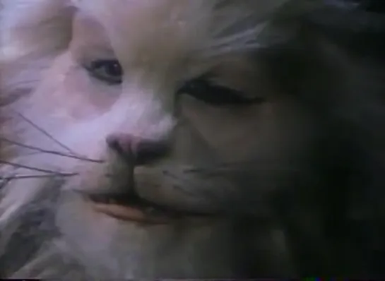 O Gato de Botas Extraterrestre (Wilson Rodrigues, 1990)