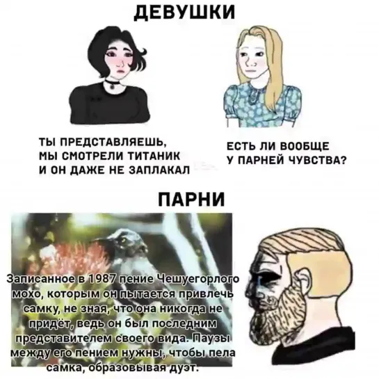 за што блять