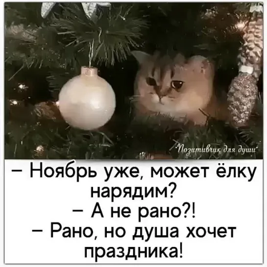 Скоро Новый Год