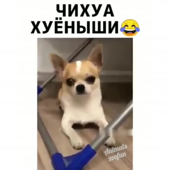 Ой, Ричик сам голову сломал,кто у него будет🤣