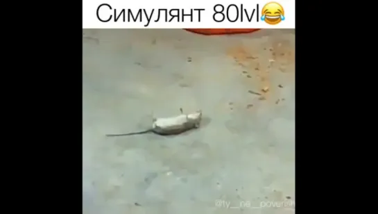 мышь симулянт