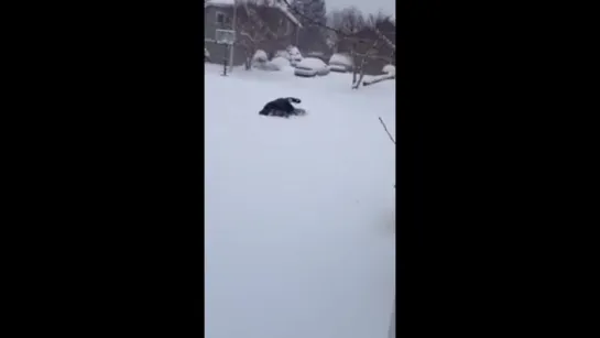 80 year old mans face plant in the snow!