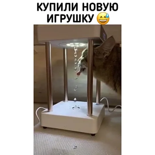 Купили новую игрушку