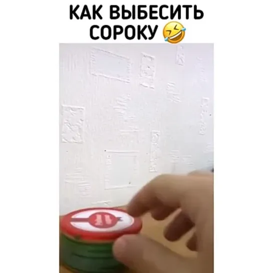 Как выбесить сороку