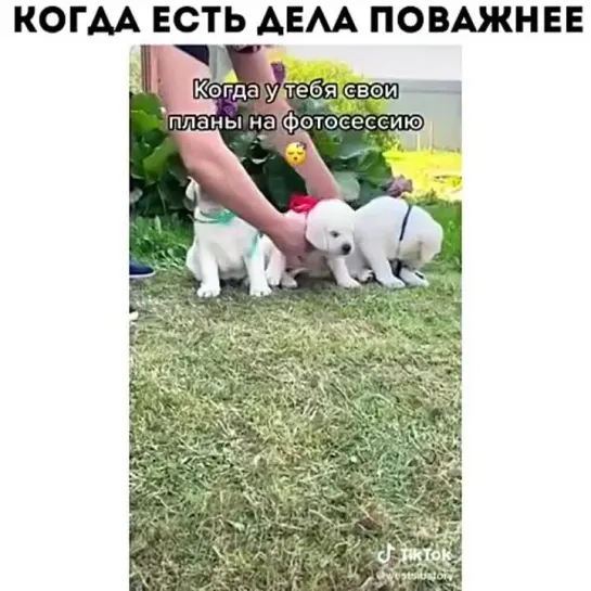 Когда есть дела поважнее