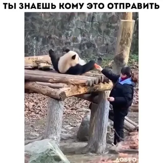 Ты знаешь кому это отправить