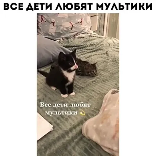 Все дети любят мультики