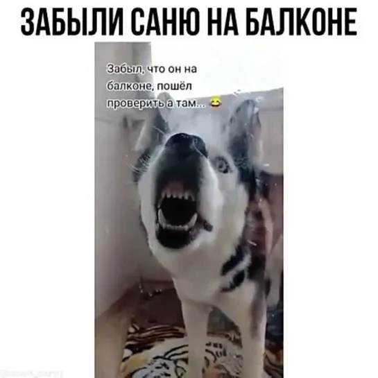 Забыл Саню на балконе