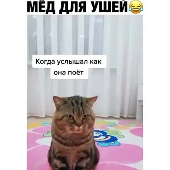 Мёд для ушей