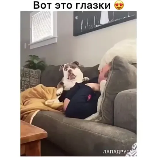 Этот взгляд