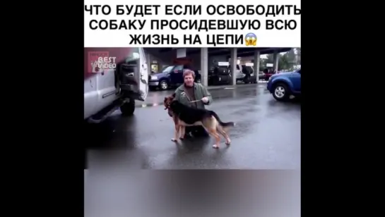 Этот замечательный запах свободы