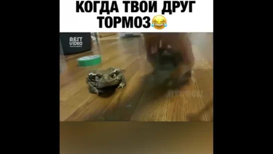 Кто не успел тот опоздал