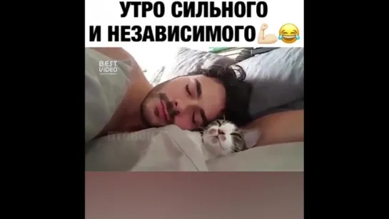 Просыпаемся с котом