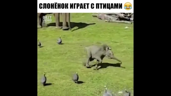 Ну давайте поиграем