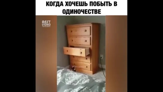 Жаль я там не помещусь