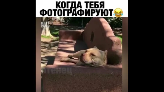 Этот взгляд