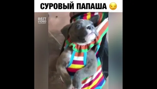 Суровый отец