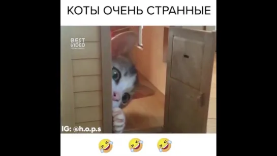 Это всё в порядке вещей