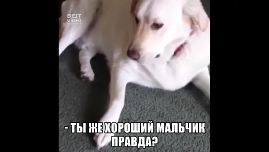 Что это у тебя там во рту?