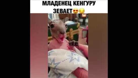 Берегите свои мимиметры