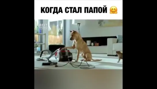 Мужики поймут