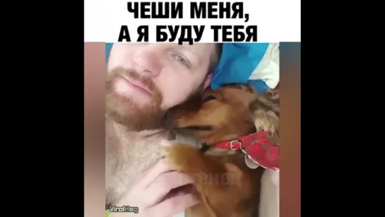 Взаимовыручка