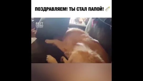 Не готов стать отцом