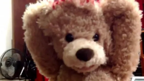 Scary Peek A Boo Teddy Bear