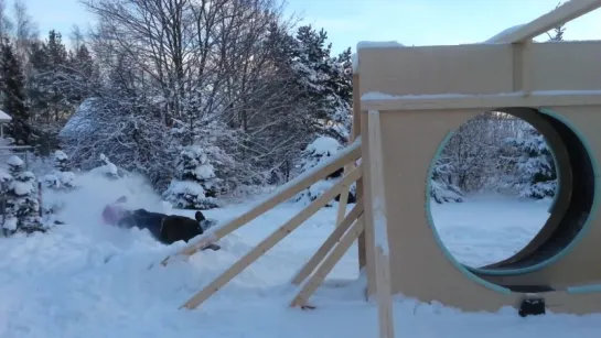 World first backyard Killer loop sledge hill