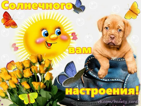 Выходи танцевать ♛ 😜😉► Прикол◄╬₪🤣😉●👍🏻♛ Танец