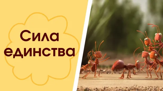 Вместе мы сила   ●╬★╬♚╬★╬●    Мультфильм   ●╬★╬♚╬★╬●  Сила единства