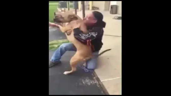 Man reunited with his missing dog after 2 years