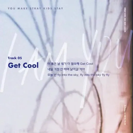 Stray Kids 3ND MINI ALBUM “I am YOU” Inst. Lyric Card 5 “Get Cool”