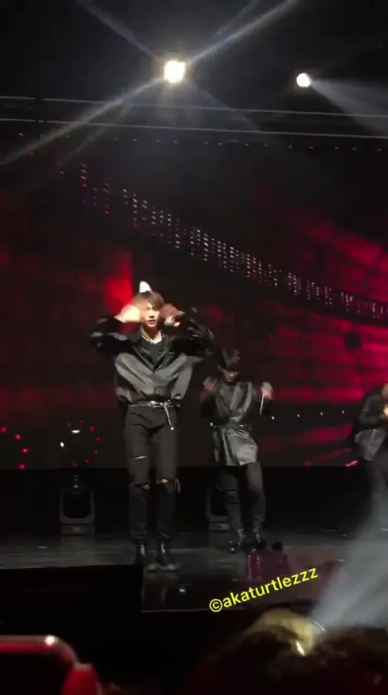 [FANCAM] 190221 Stray Kids - Voices @ UNVEIL TOUR in Melbourne