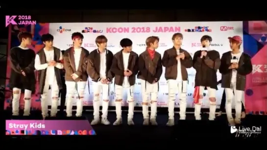 [VIDEO] 180414 Stray Kids @ KCON 2018 JAPAN RED CARPET