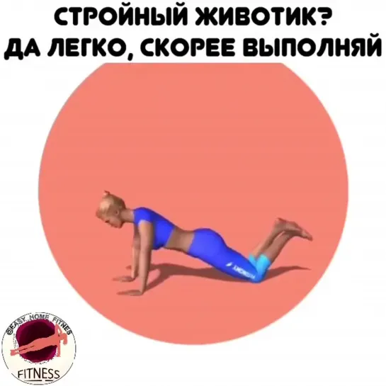 подтянутый животик