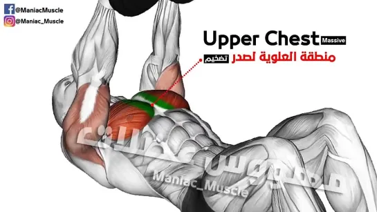 How To Build Your Chest Fast (6 Effective Exercises)-تمارين الصدرً