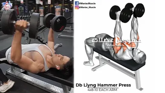 DUMBBELL Chest Exercises Workouts - Massive