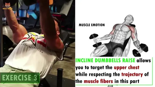 32 BEST  INNER ,LOWER AND UPPER CHEST WORKOUT AT GYM _ Meilleurs exs Musculation poitrine .