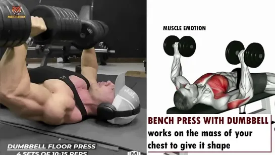 13 BEST CHEST  WORKOUT WITH DUMBBELLS ONLY AT HOME OR AT GYM _ Meilleurs exs Musculation  poitrine