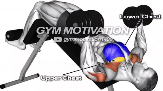 8 Effective Chest Exercises Fast With Dumbbell Only