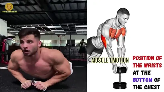 7 BEST LOWER CHEST EXERCISES WITH DUMBELLS _ MUSCULATION BAS DES PECS AVEC HALTERES