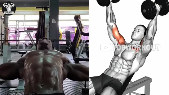 6 fastest HUGE Chest exercises for you