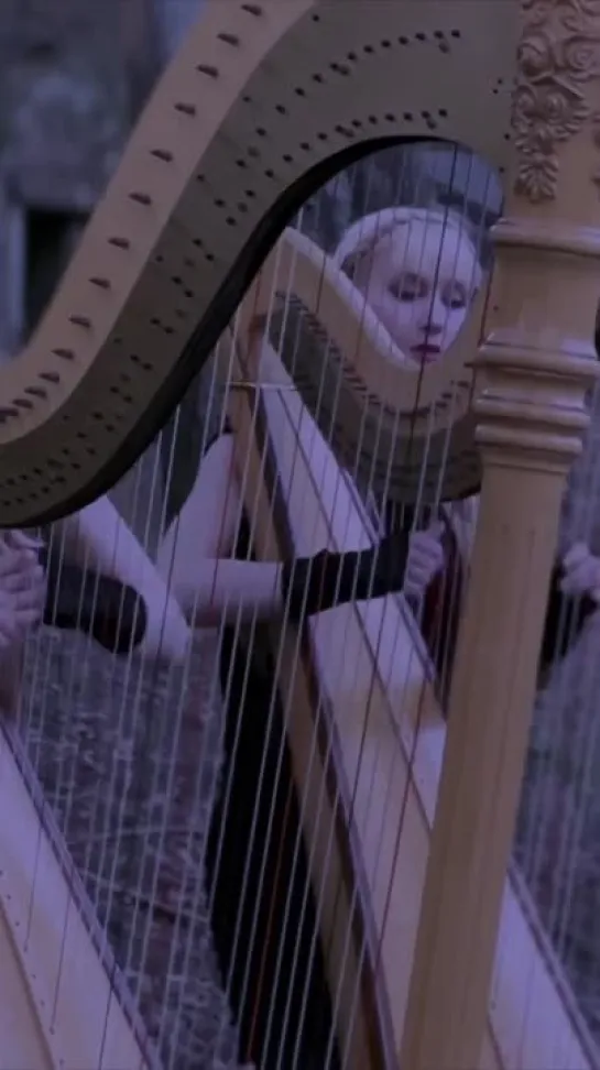 CATACOMBS (Harp Twins) - Full music video on our channel! #shorts #harptwins #harp #darkambient