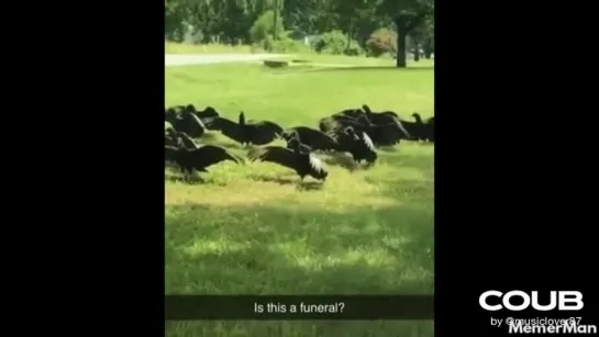 Is this a funeral