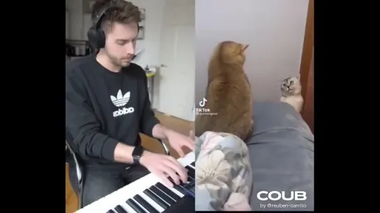 This Cat sound like a melody too!